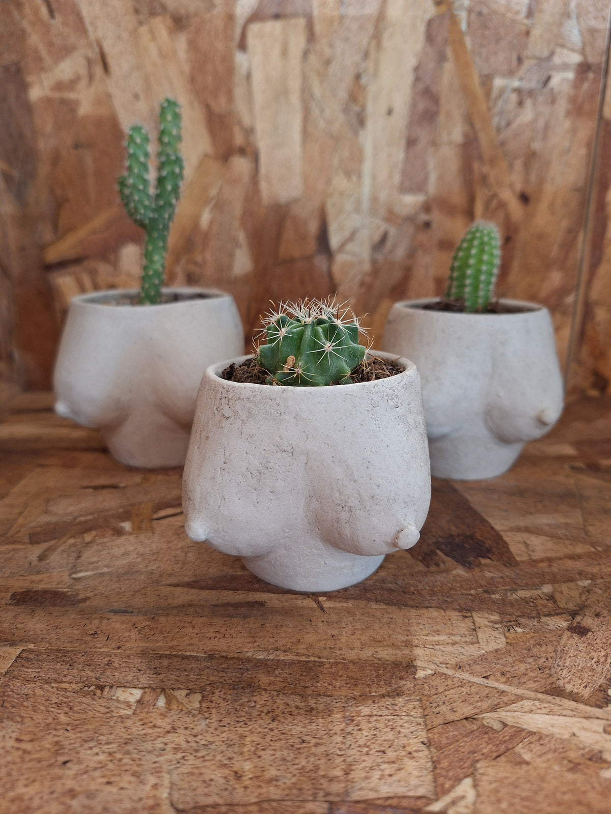 Cactus Boob Cup